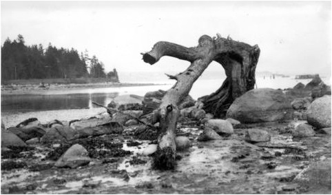 Screen Shot 2014-01-05 at 10.53.56 AM