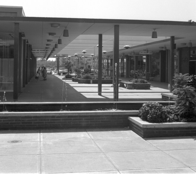 Oakridge in the 60s on a Sunny Day