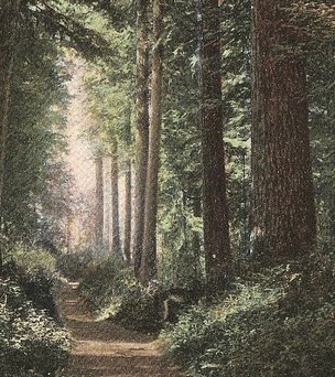 Screen Shot 2017-04-08 at 10.53.11 AM